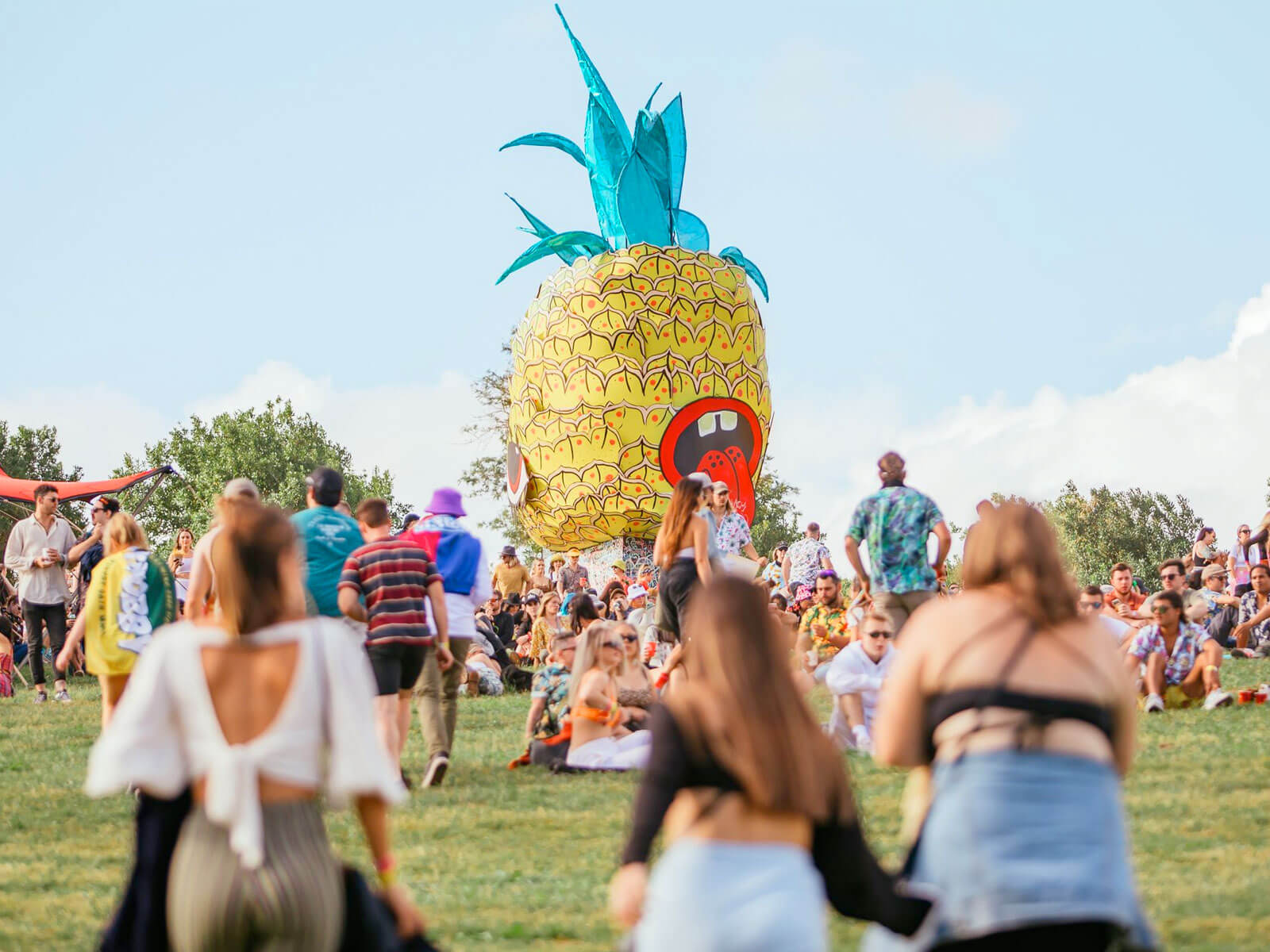 big-pineapple-festival-2024-feature-oz-edm